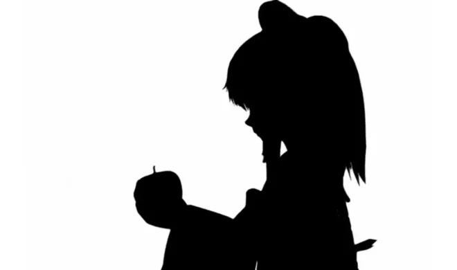 Bad Apple!!